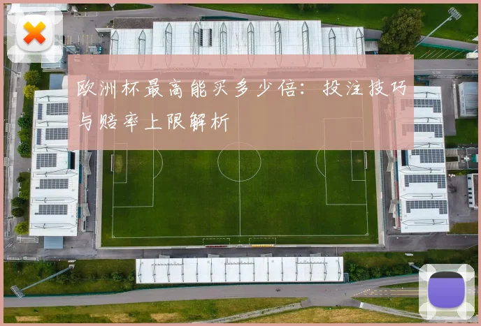 欧洲杯最高能买多少倍:投注技巧与赔率上限解析