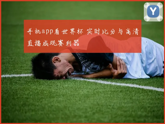 手机app看世界杯 实时比分与高清直播成观赛利器