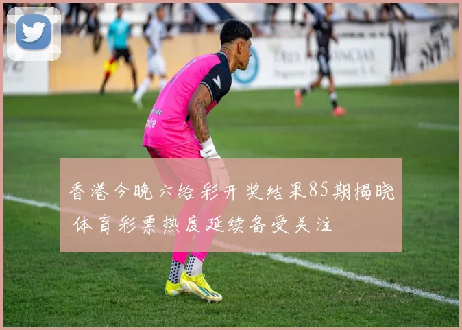 香港今晚六给彩开奖结果85期揭晓 体育彩票热度延续备受关注