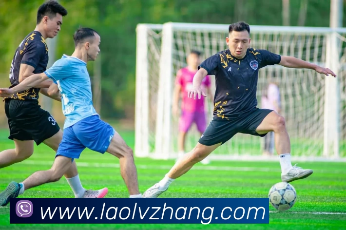 多媒体互动体验